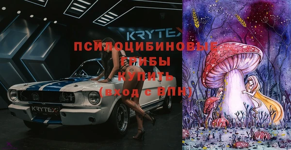 крисы Баксан