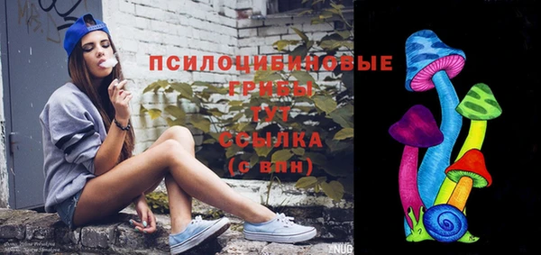 прущие грибы Балахна