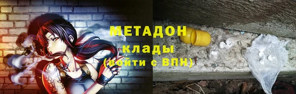 прущие грибы Балахна