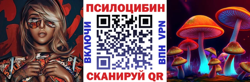 Псилоцибиновые грибы Psilocybine cubensis  Советск 
